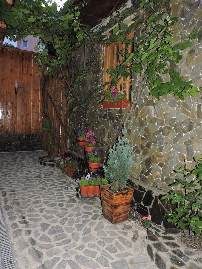 Отель Casa Анина Экстерьер фото