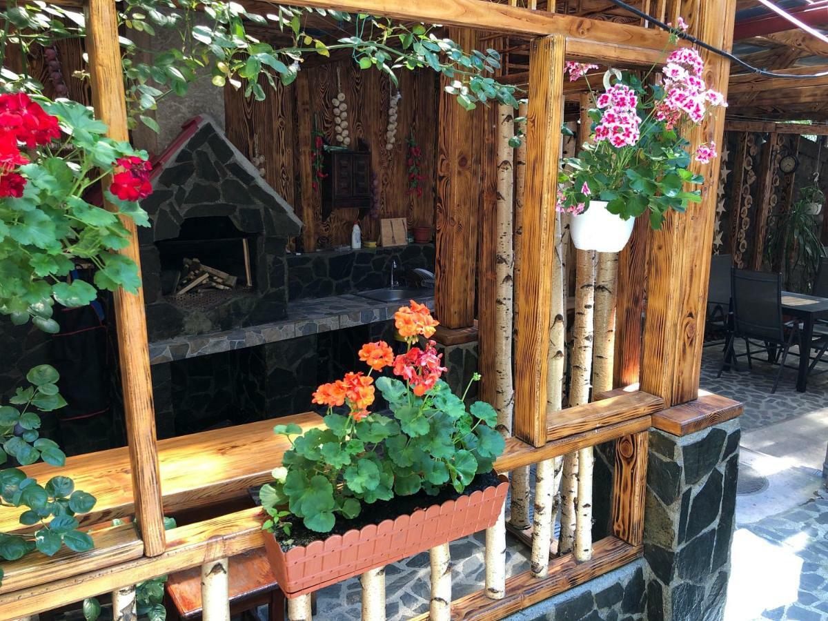 Отель Casa Анина Экстерьер фото